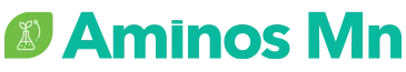 Logo Aminos Mn