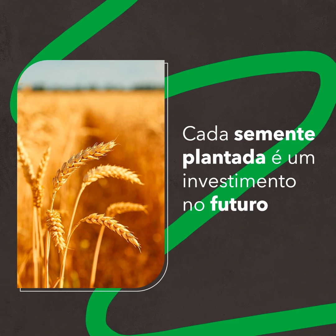 Cada semente plantada é um investimento no futuro